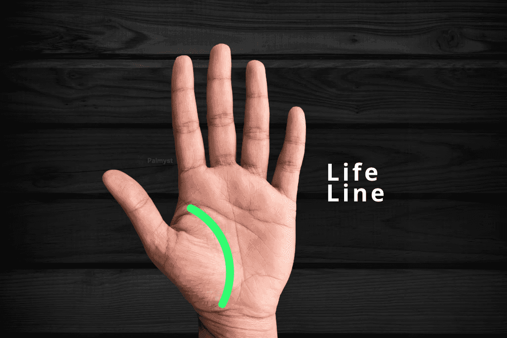 Palm Reading